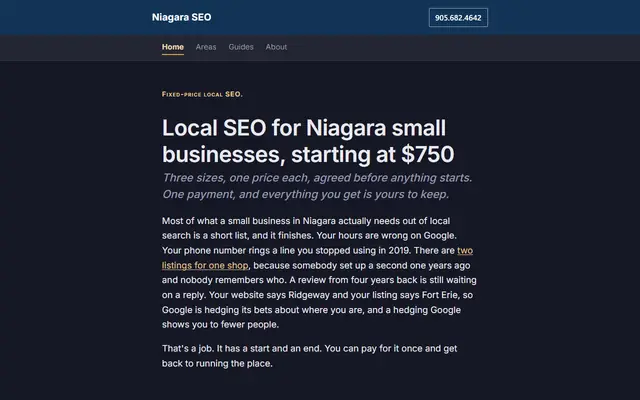 Screenshot of niagaraseo.com homepage