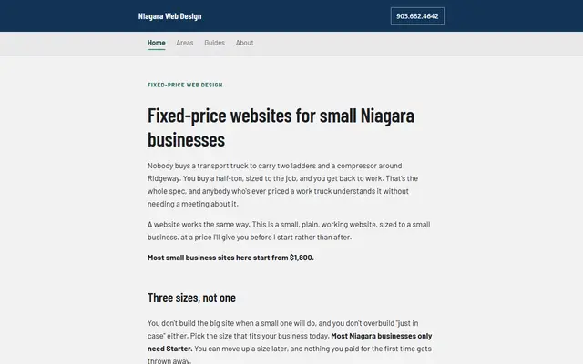 Screenshot of niagarawebdesigner.com homepage